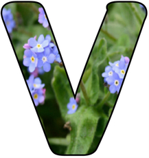 Blumenbuchstabe-V.jpg